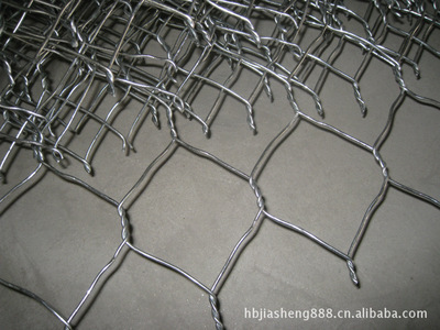 PVC鍍鋅包塑鉛絲籠 價格、廠家與產(chǎn)品深度解析